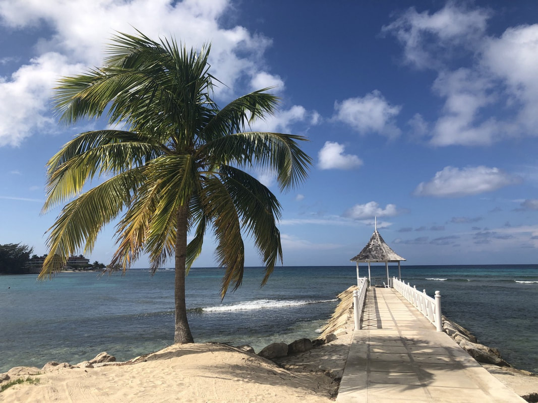 palm tree and gazebo in Montego Bay, Jamaica