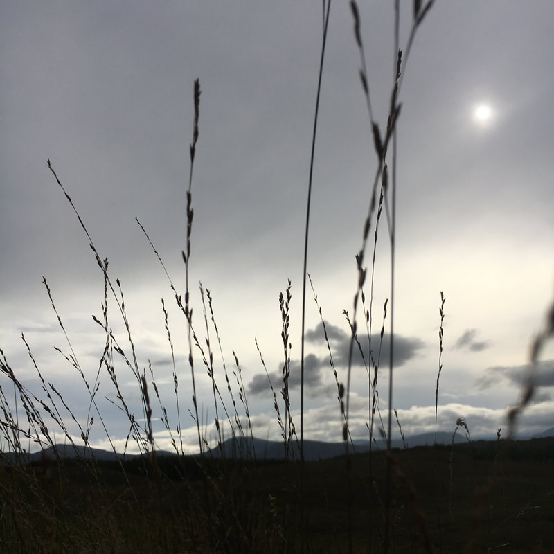 grass and clouds in Isle of Skye, Scotland 