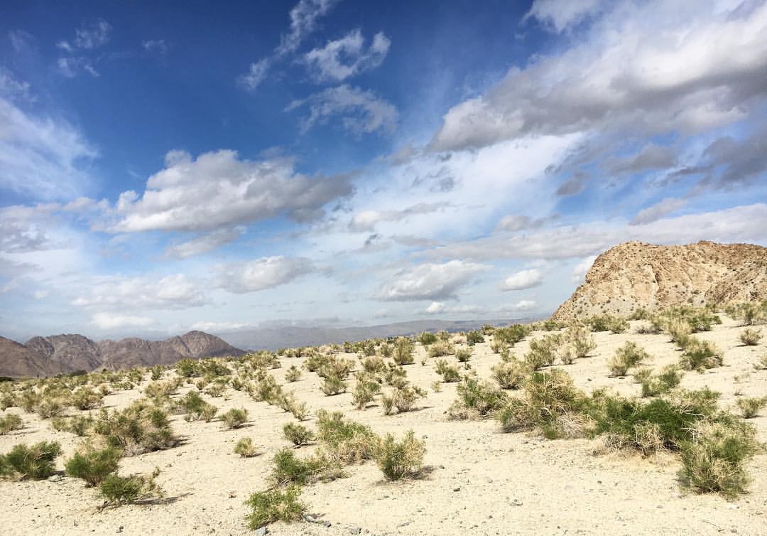 desert hike in La Quinta, CA